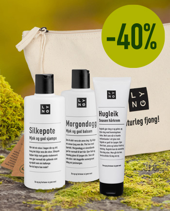 Kjærleikstaske